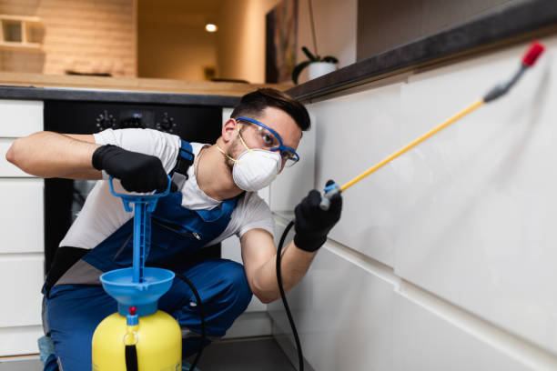 Best Best Pest Control Near Me  in Hudsonville, MI