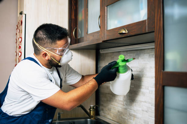Best Affordable Pest Control Services  in Hudsonville, MI