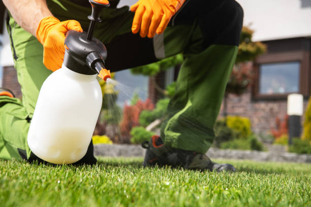 Best Bird Control  in Hudsonville, MI