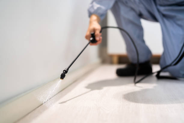 Best Pest Removal Services  in Hudsonville, MI