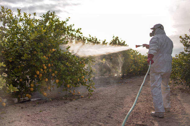 Best Pest Inspection Near Me  in Hudsonville, MI
