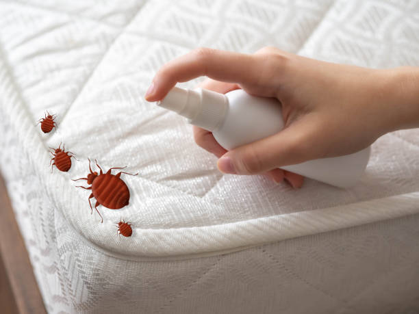 Best Local Pest Control Services  in Hudsonville, MI