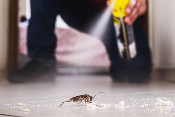 Best Rodent Control Near Me  in Hudsonville, MI
